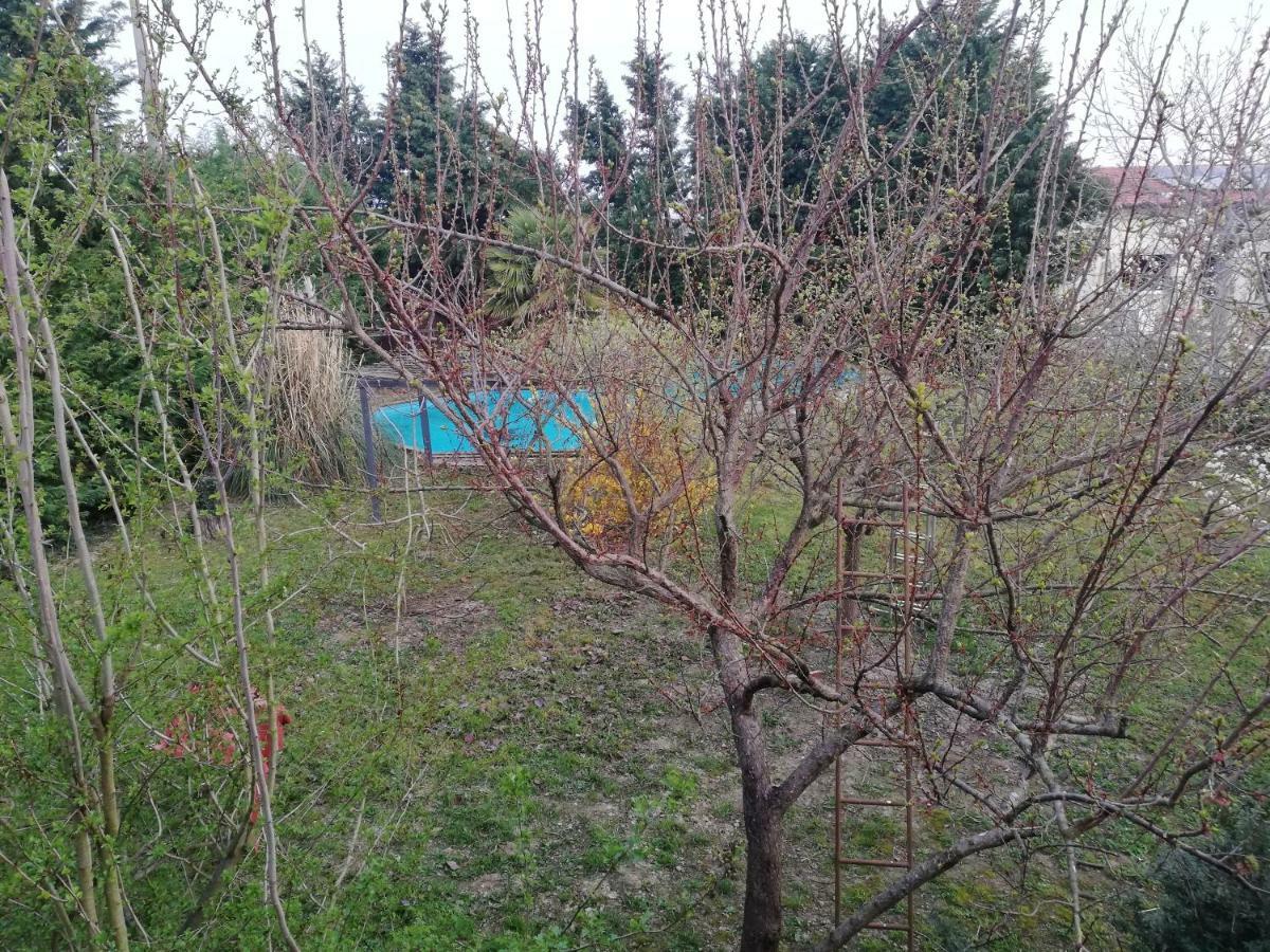 Camomilla Apartman Ravenna Kültér fotó